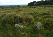 Click for full size image of Burford Down (Tristis Rock) (PID:174974) Burford Down (Tristis Rock)