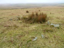Drizzlecombe Settlement