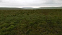 Click for full size image of Green Hill - Stall Moor (PID:236001) Green Hill - Stall Moor
