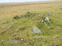 Drizzlecombe Settlement