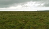 Click for full size image of Green Hill - Stall Moor (PID:236002) Green Hill - Stall Moor