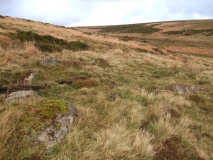 Brockhill Ford