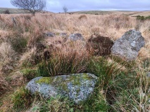 Dendles Waste