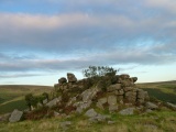 Click for full size image of Burford Down (Tristis Rock) (PID:174975) Burford Down (Tristis Rock)