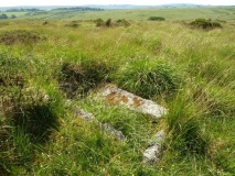 Bellever Tor 9
