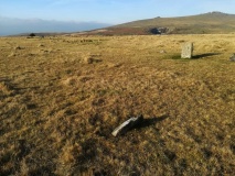 Merrivale NW