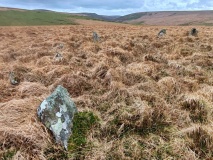 Stall Moor circle