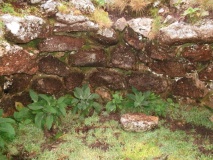 Lade Hill Brook Beehive Hut