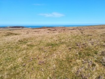 Tibbett's Hill Cairn Circles