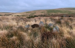 Dendles Waste