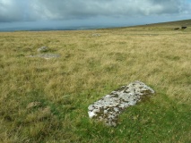 Sourton Tors Stone Circle