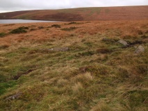 Brockhill Ford