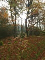 Click for full size image of East Lowton settlement (PID:223155) East Lowton settlement