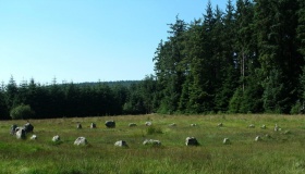 Fernworthy circle