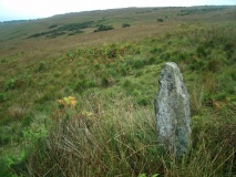 West Anstey Long Stone