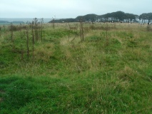Twitchen barrows