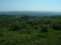 Butterdon Hill Long Cairn