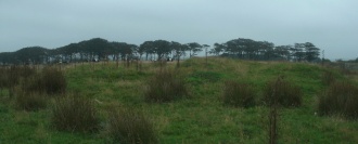 Twitchen barrows