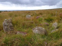 Dendles Waste