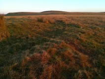 Piles Hill Cairns