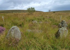 Dendles Waste