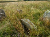 Dendles Waste