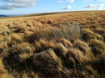Skir Hill
