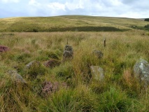 Dendles Waste