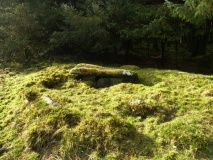 Bellever Tor Cairn one