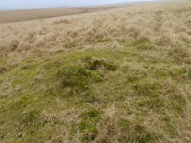 Deadman's Bottom E