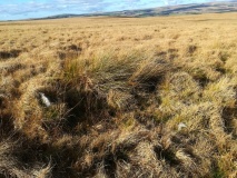 Skir Hill