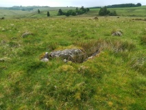 Roundhill Summit