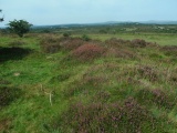 Click for full size image of Roborough Down Earthworks (PID:113358) Roborough Down Earthworks