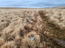 Upper Erme Row