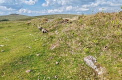 Black Tor (Meavy)