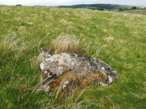 Roundhill East (Devon)