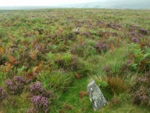 Cheriton Ridge 2