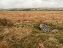 Swincombe cairn circle and cist