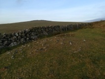 Wedlake Cairns