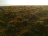 Cosdon Hill Summit Cairns