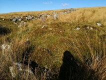 Brown Heath Cairn and Cist