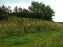 Stoke Rivers fort