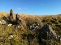 Brown Heath Cairn and Cist