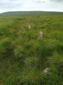 Click for full size image of Upper Erme Row (PID:235966) Upper Erme Row