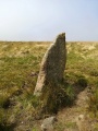 White Moor Stone - PID:228827