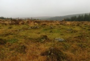 Click for full size image of Bellever Tor NE Settlement (PID:222482) Bellever Tor NE Settlement