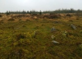 Click for full size image of Bellever Tor NE Settlement (PID:222481) Bellever Tor NE Settlement
