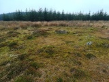 Click for full size image of Bellever Tor NE Settlement (PID:222479) Bellever Tor NE Settlement