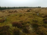 Click for full size image of Bellever Tor NE Settlement (PID:222480) Bellever Tor NE Settlement