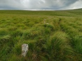 Click for full size image of Upper Erme Row (PID:235967) Upper Erme Row